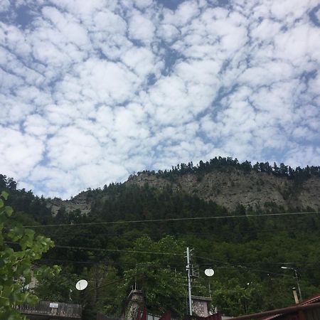 Greenland Ξενοδοχείο Borjomi Εξωτερικό φωτογραφία