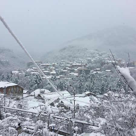 Greenland Ξενοδοχείο Borjomi Εξωτερικό φωτογραφία