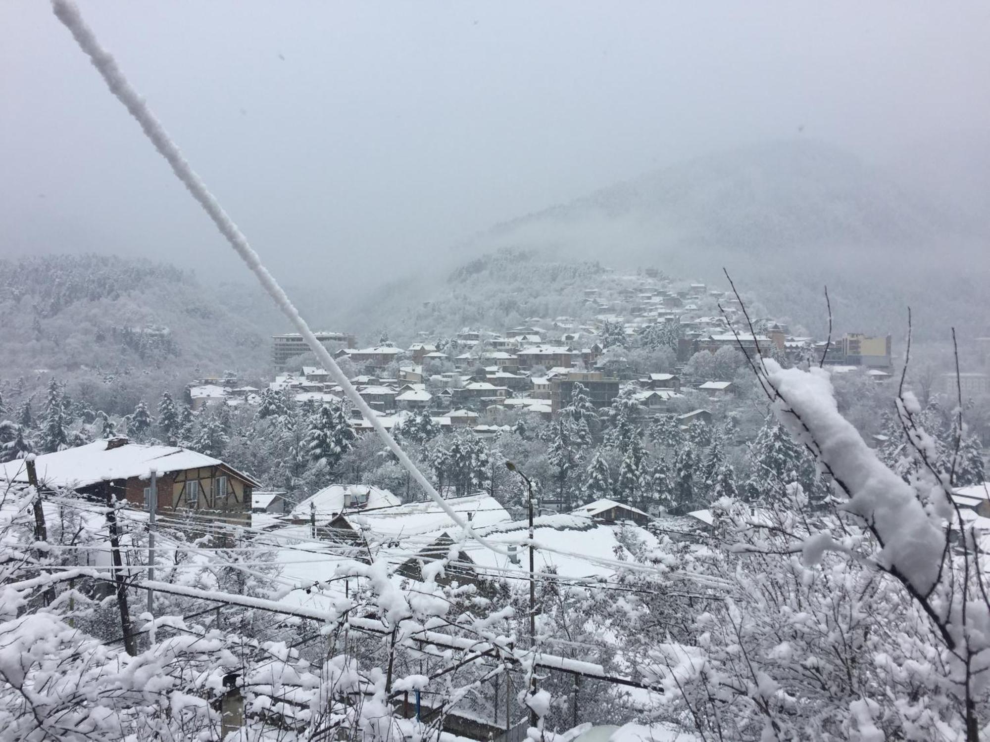 Greenland Ξενοδοχείο Borjomi Εξωτερικό φωτογραφία
